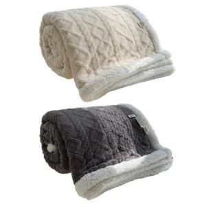 Double Layer Thick Lamb Wool Sleeping Blanket Flannel Throw
