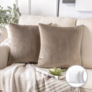 Soft Silky Velvet Decorative Throw Pillow  20" x 20"  2 Pack