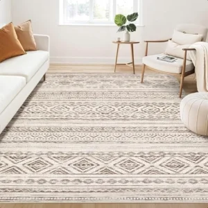 Living Room Area Rug 5x7