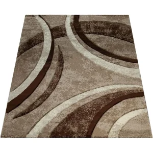 Large Indoor  Accent Carpet for