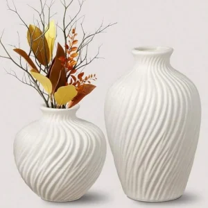 Ceramic Vase Set Of 2