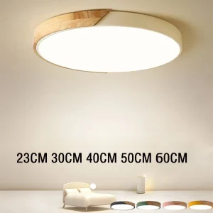 Ceiling Light LED