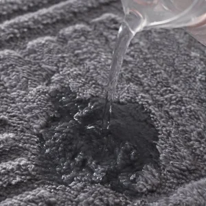 Absorbent Bathroom Floor Mat