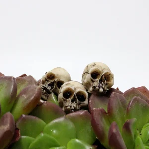 20Pcs Mini Collectable Halloween Skull Sculptures
