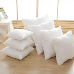 Pillow Inserts (several sizes)